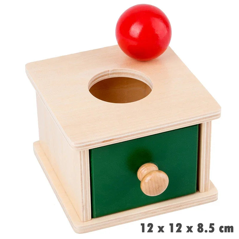 1-3 Years Wooden Montessori Baby Toys Object Permanence Coin Box Ball Drop Sensory Fine Motor Skills Trainin Early Education Toy