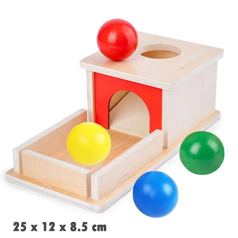 1-3 Years Wooden Montessori Baby Toys Object Permanence Coin Box Ball Drop Sensory Fine Motor Skills Trainin Early Education Toy