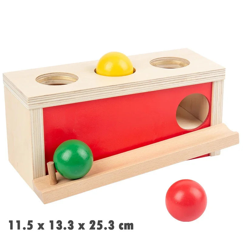 1-3 Years Wooden Montessori Baby Toys Object Permanence Coin Box Ball Drop Sensory Fine Motor Skills Trainin Early Education Toy