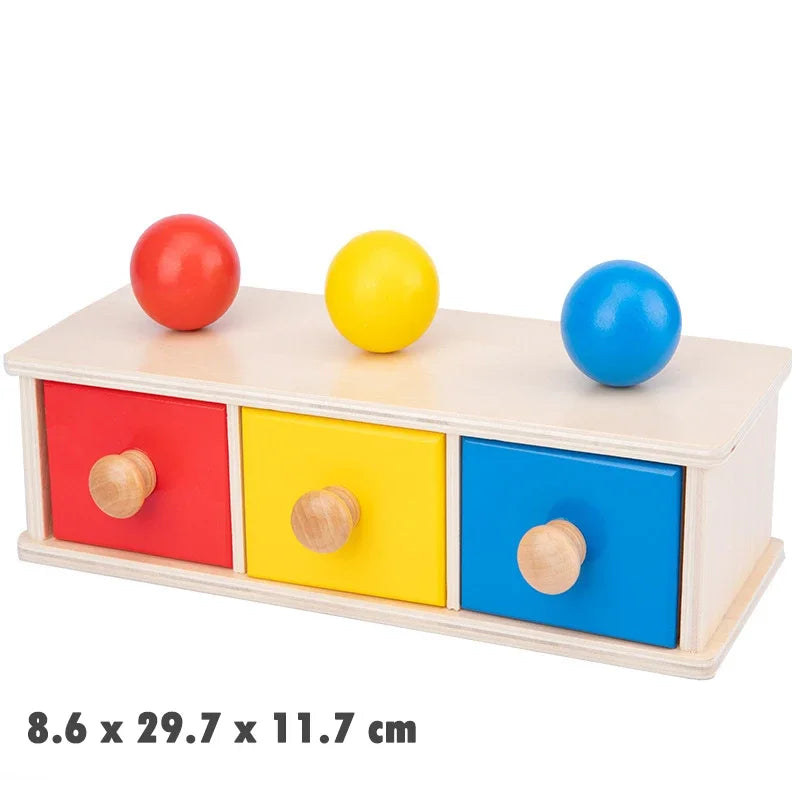 1-3 Years Wooden Montessori Baby Toys Object Permanence Coin Box Ball Drop Sensory Fine Motor Skills Trainin Early Education Toy