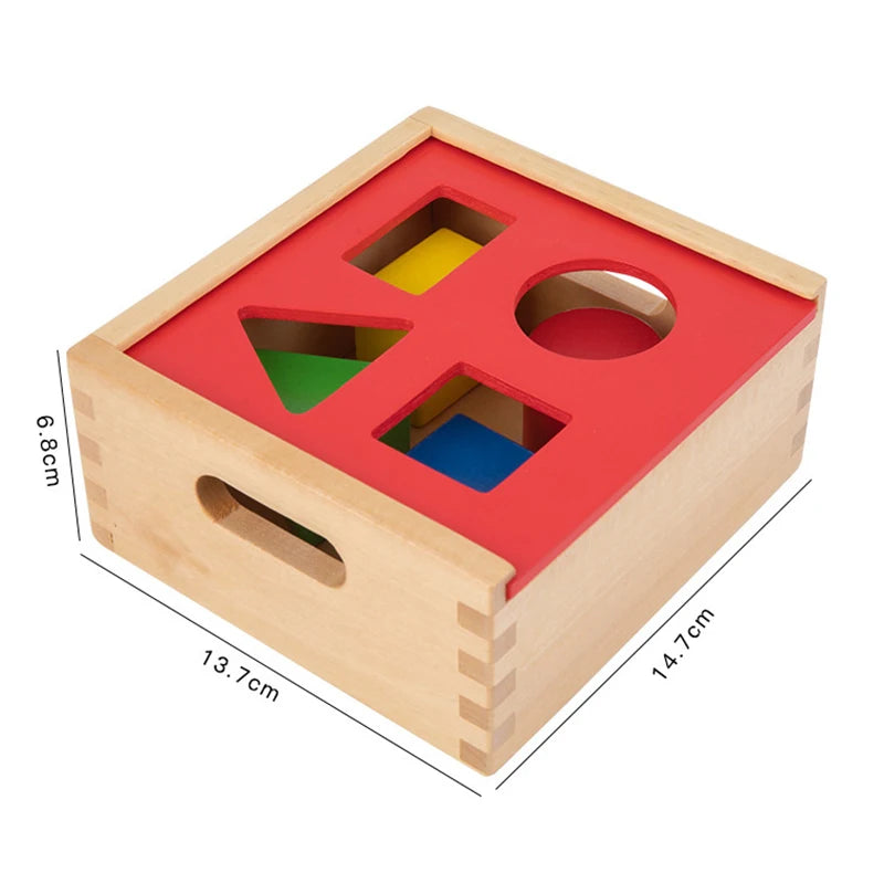 1-3 Years Wooden Montessori Baby Toys Object Permanence Coin Box Ball Drop Sensory Fine Motor Skills Trainin Early Education Toy